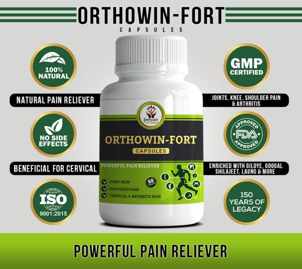 orthowin_fort_2