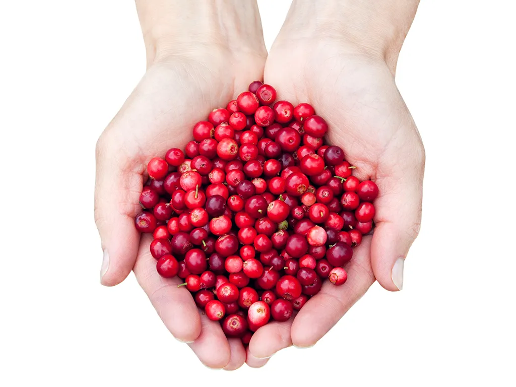 Cranberries