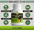Shilajeet Plus