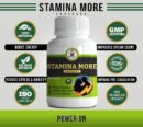 Stamina More