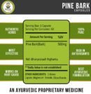 Pine Bark