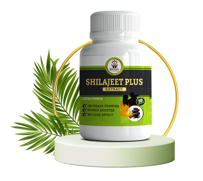 Shilajeet Plus