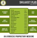 Shilajeet Plus