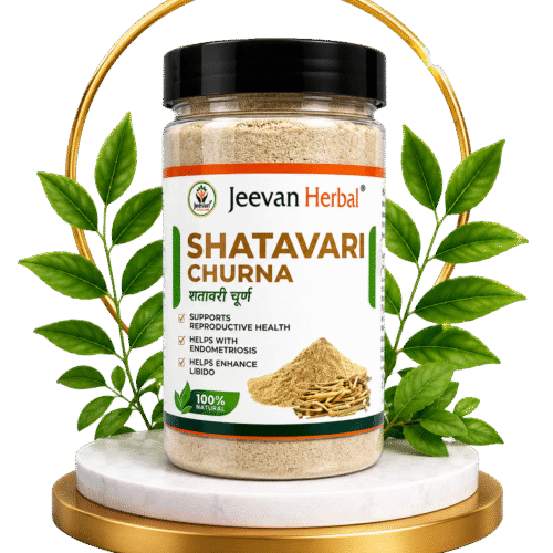 Shatavari Churan