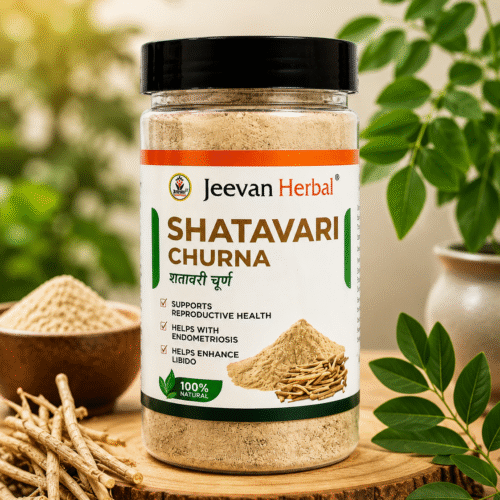 Shatavari Churna