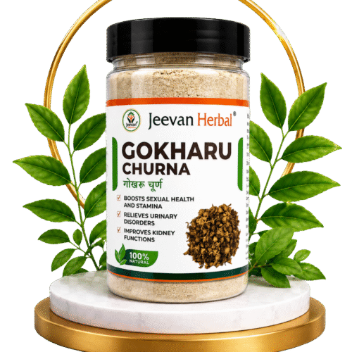 Gokshur Churan
