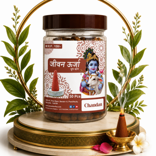 Chandan Cones Dhoop