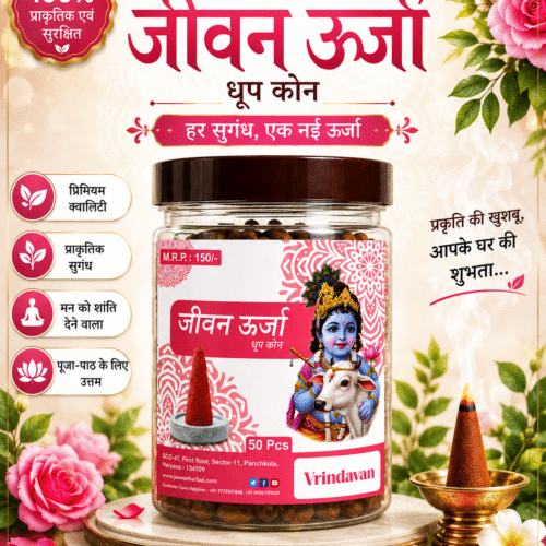 Vrindavan Cones